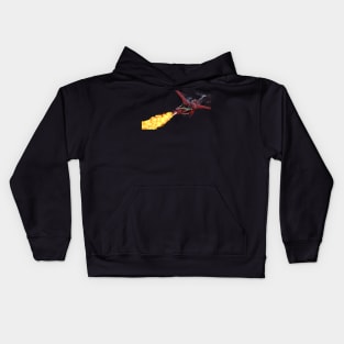 Red Fire Breathing Dragon Kids Hoodie